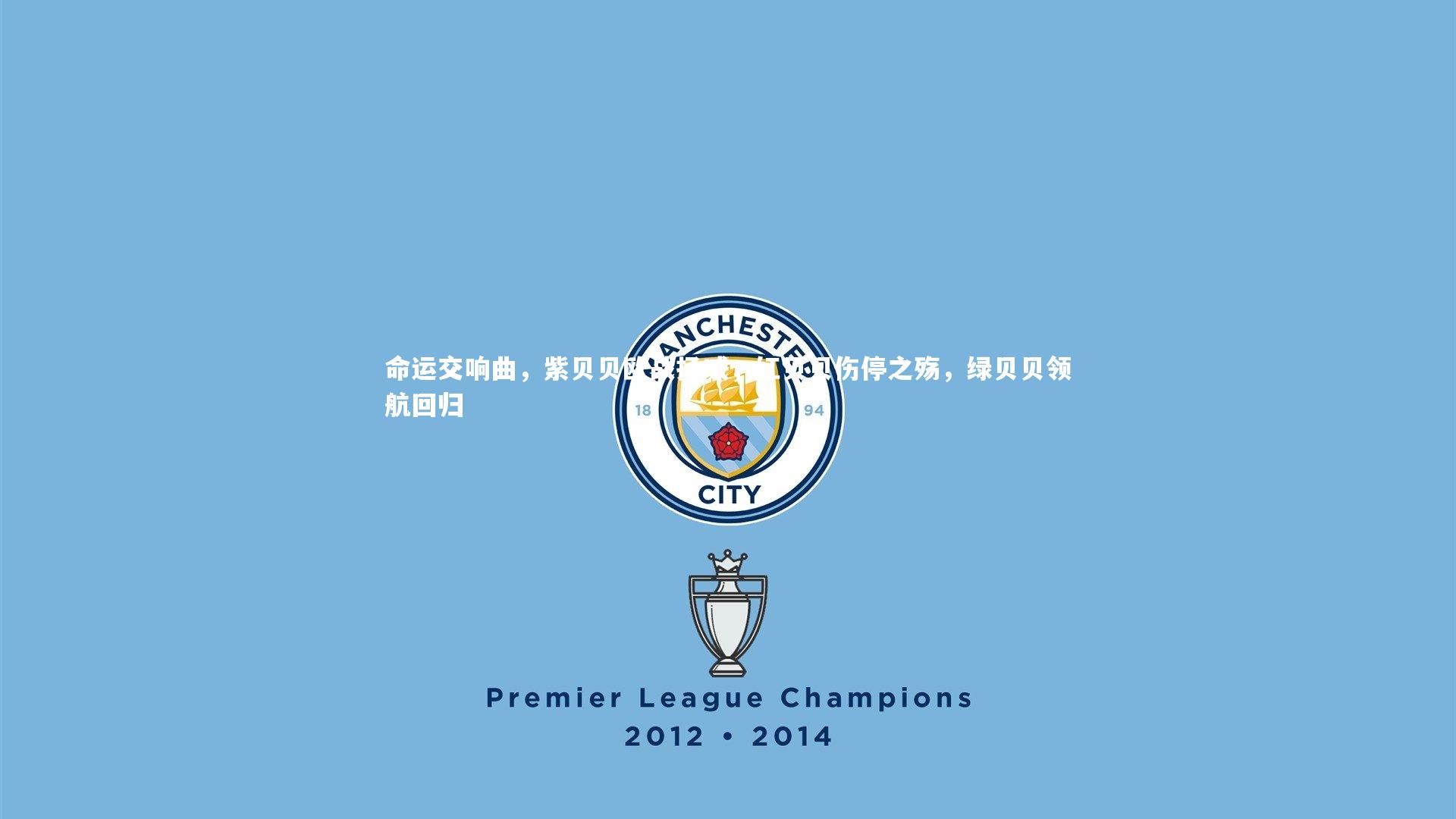 开云官网入口|命运交响曲，紫贝贝欧战扬威，红贝贝伤停之殇，绿贝贝领航回归